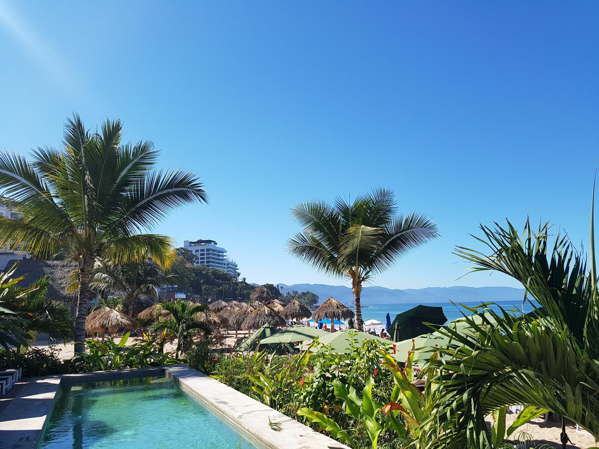 Suites At Sapphire Ocean Club Puerto Vallarta Esterno foto